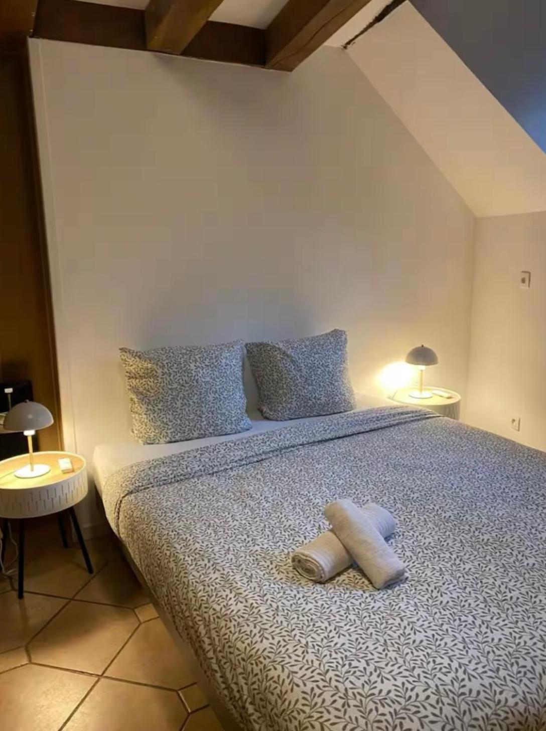 Apartment Magnifique Duplex A 600m Du Martroi Orléans